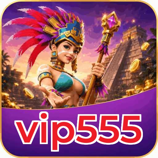 Permissions vip555